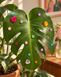 Plant Gems